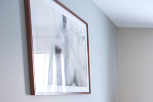 The Southern Apartments Sun-Filled Bedroom with Large Window and Ceiling Fan